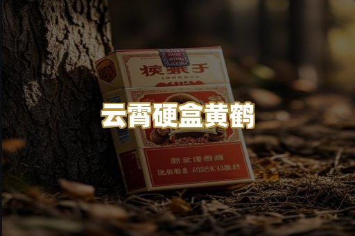 云霄硬盒黄鹤